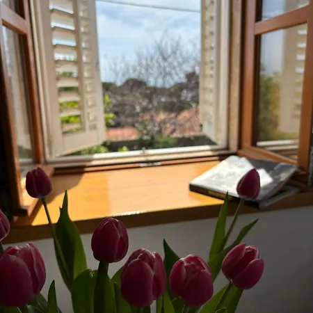 Guest house Villa Anica Dubrovnik - Luxurious With A Sea View