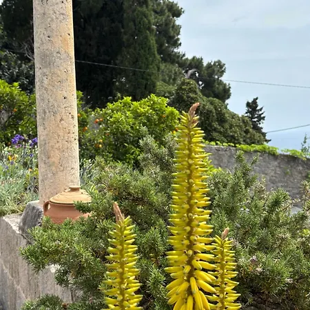 Villa Anica Dubrovnik - Luxurious With A Sea View Guest house
